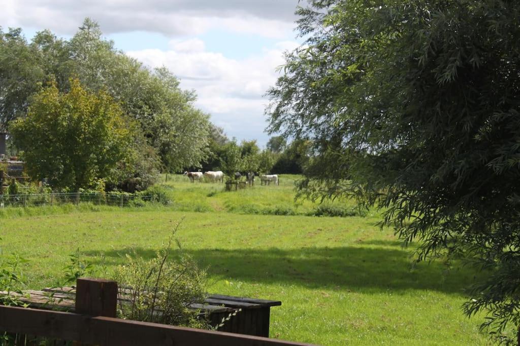 The Cottage @ Winslade Farm Bridgwater Exterior foto